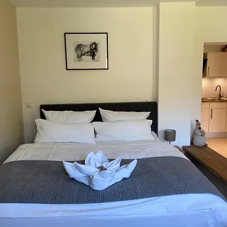 Kleemann's Apartment**** アパート ツォッセン