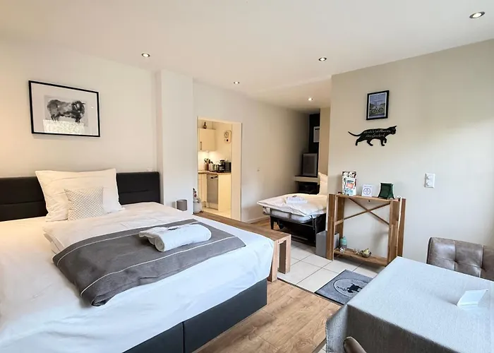 Kleemann's Apartment****